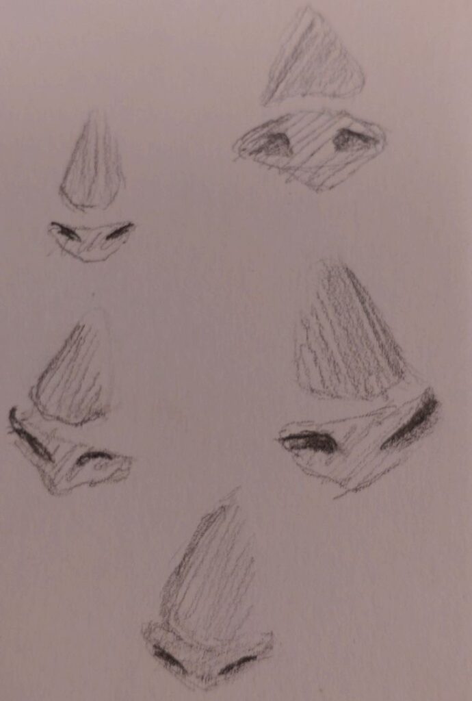 Pencil sketches of various noses showing different angles and shading techniques on a white background for drawing practice.