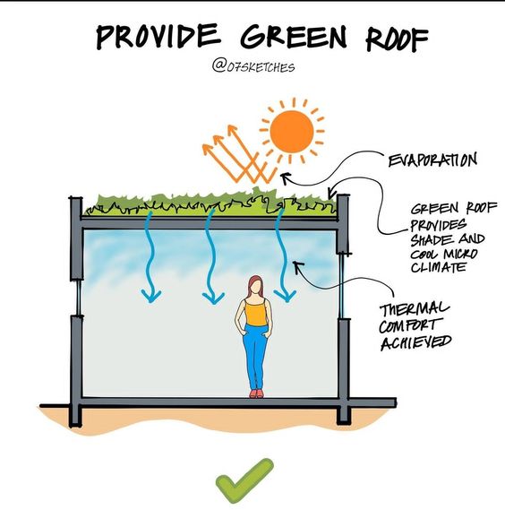 Illustration of green roof benefits: shade, cool microclimate, evaporation, thermal comfort under sun (07sketches).