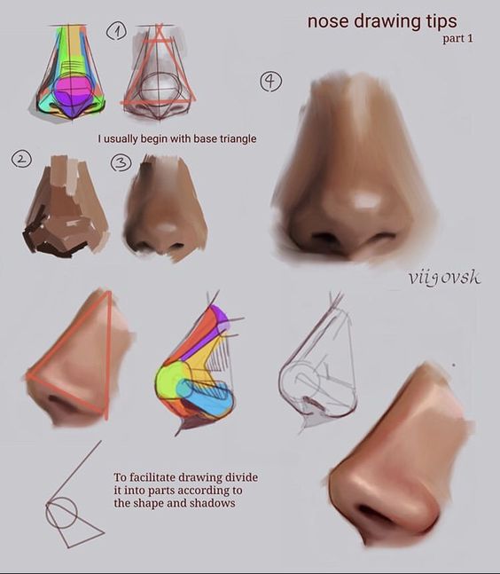 Nose drawing tips illustration showing step-by-step process with sketches, shading, and color division for realistic drawings.