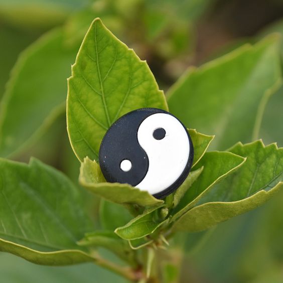 Yin and Yang symbol nestled in vibrant green leaves, representing balance in nature and harmony.