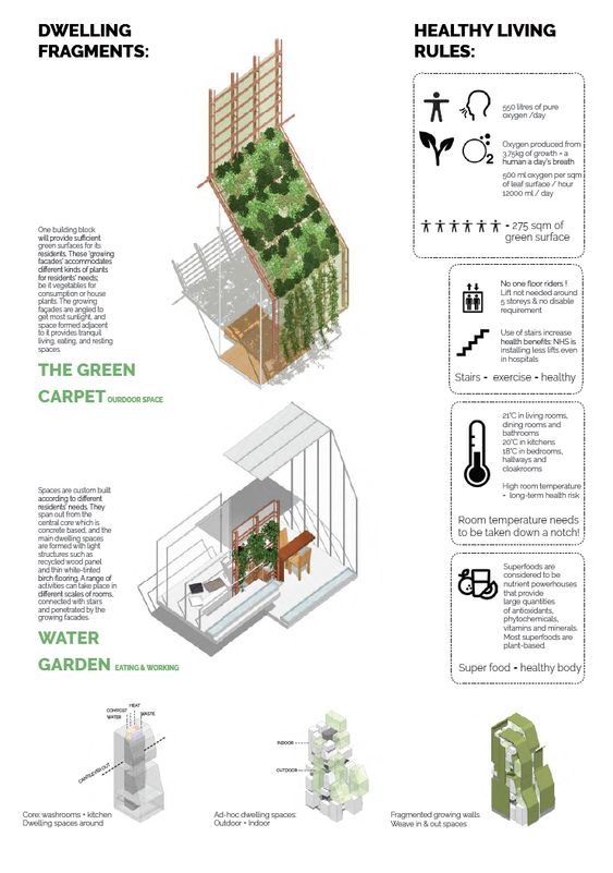 Illustrated guide on healthy living and dwelling fragments with green carpets and water gardens for urban spaces.