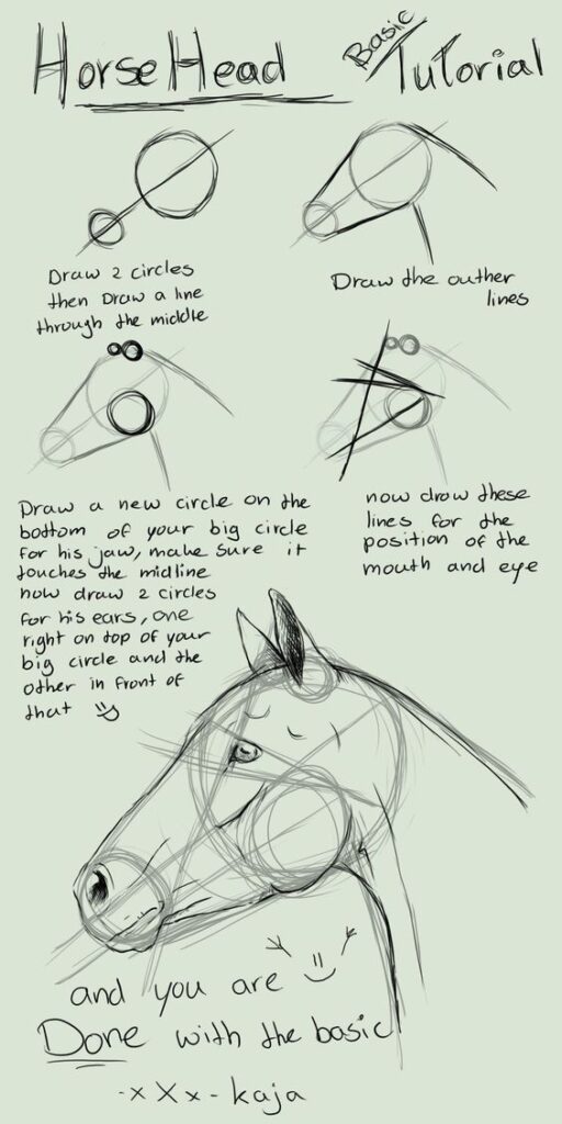 Basic horse head drawing tutorial with step-by-step instructions and sketches for beginners. Learn how to draw a horse head.