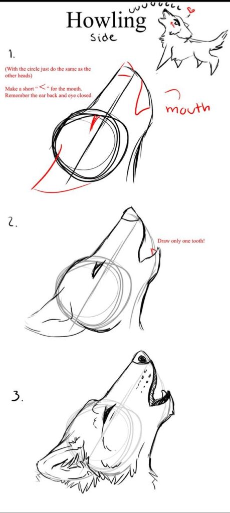 Step-by-step guide to drawing a howling wolf from the side. Detailed instructions and illustrations for beginners.