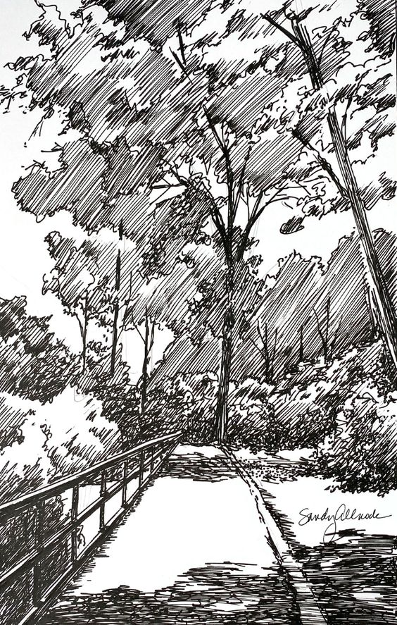 Black and white drawing of a tree-lined path with shadows. Sketch by artist, signature visible. Intricate forest scenery.