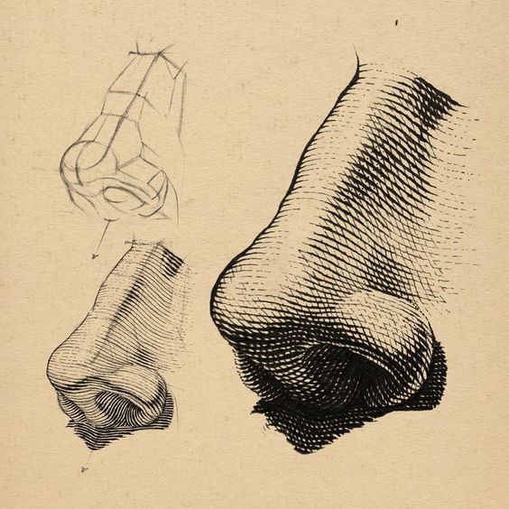 Detailed sketch of a human nose showing various shading techniques and drawing angles for artistic anatomy practice.