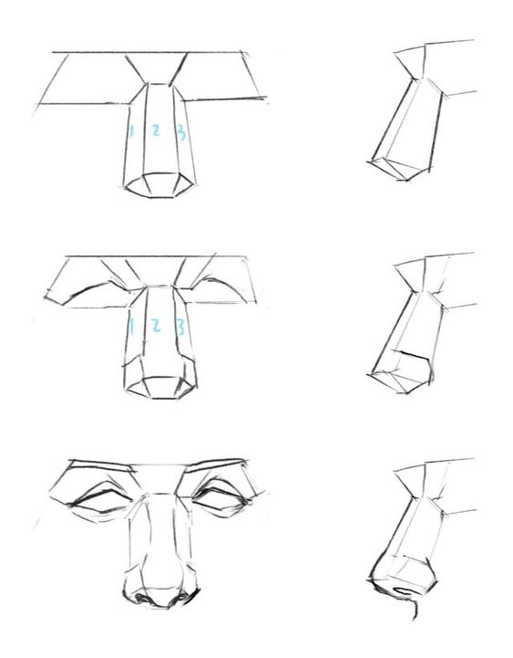 Step-by-step drawing tutorial for sketching a nose, showing initial geometric shapes and adding details for a realistic look.