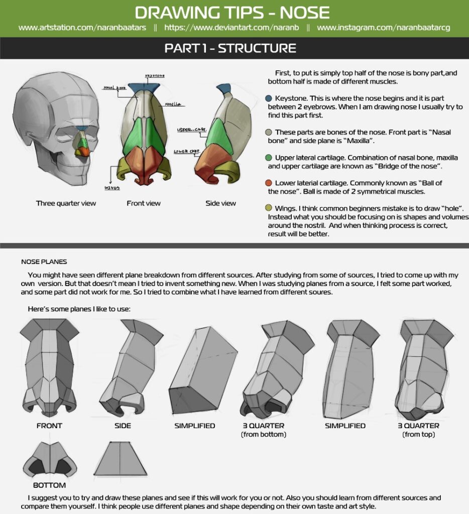 Drawing tips for nose structure with anatomical breakdown and plane views illustrated in various angles including front, side, and 3D.