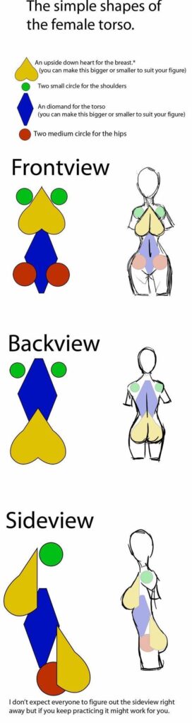 Diagram showing simple shapes for drawing the female torso: front, back, and side views using hearts, circles, and diamonds.