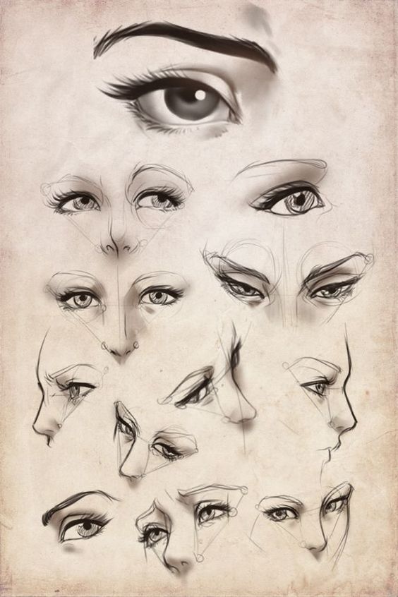 Sketches demonstrating how to draw eyes from various angles, including detailed and step-by-step illustrations.