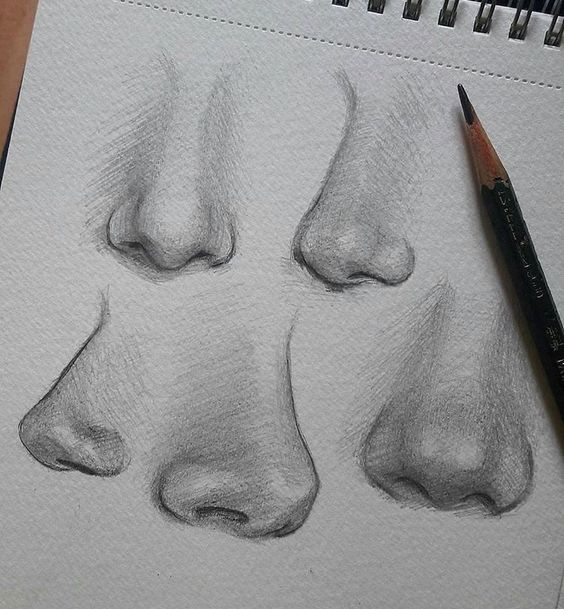 Realistic pencil sketches of various noses on a sketchpad with a pencil beside it.