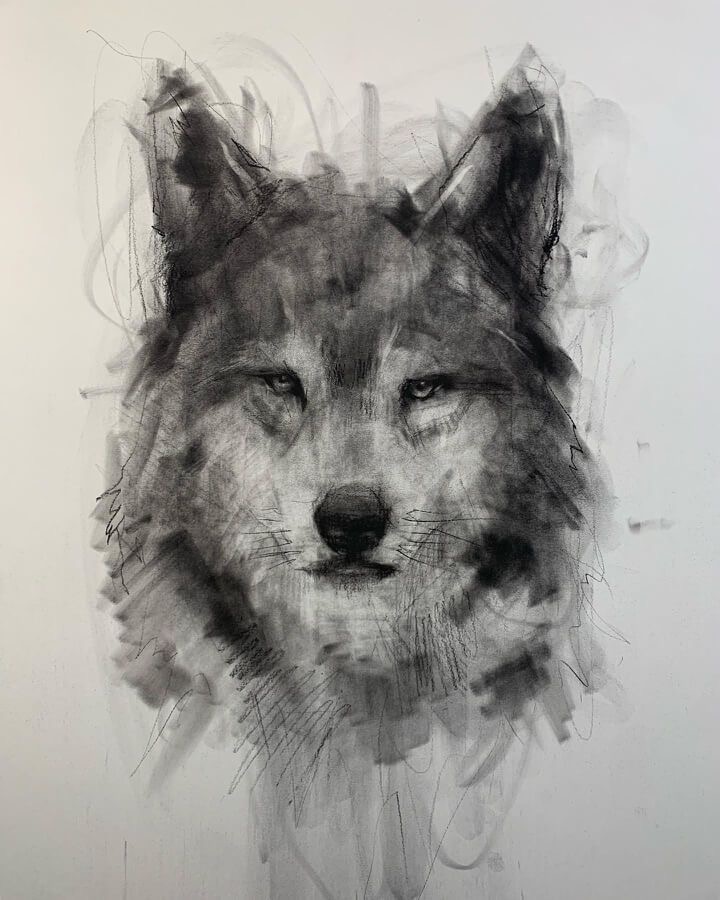 Black and white sketch of a wolf's face with detailed shading and background sketch lines on a white canvas.