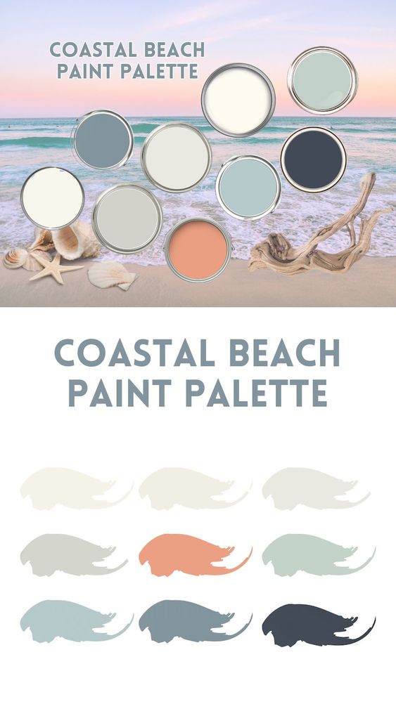 Coastal Beach Paint Palette showcasing serene seaside colors with seashells and driftwood, perfect for a beach-inspired decor.