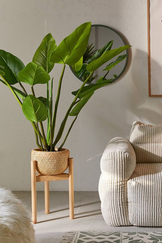 Modern living room with a large green potted plant on a wooden stand, next to a cozy beige armchair and round mirror.