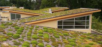 Modern building with green roofs covered in grass and plants, showcasing sustainable architecture and eco-friendly design practices.