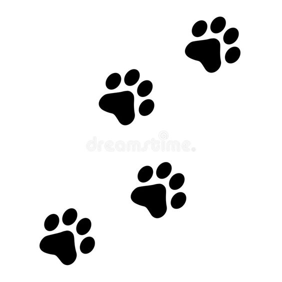 Black paw prints pattern on white background, perfect for pet-themed graphics, designs, and animal-related content.