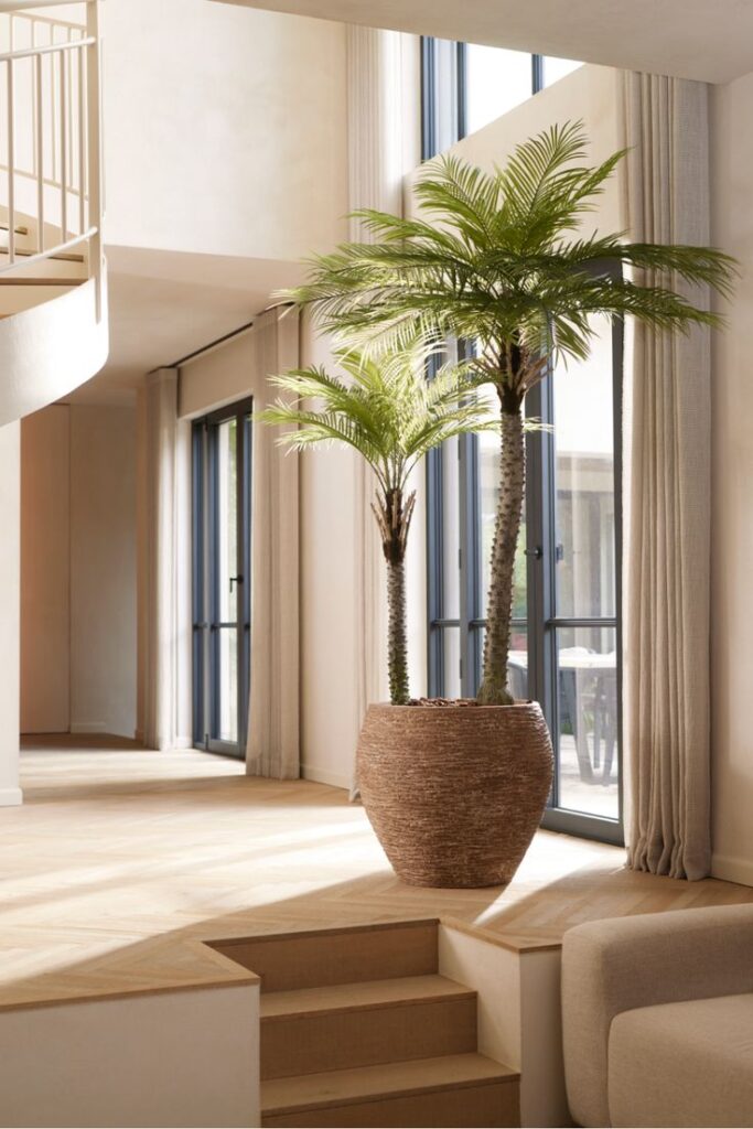 Modern interior with tall potted plants by large windows, featuring natural light, wooden floors, and neutral tones.