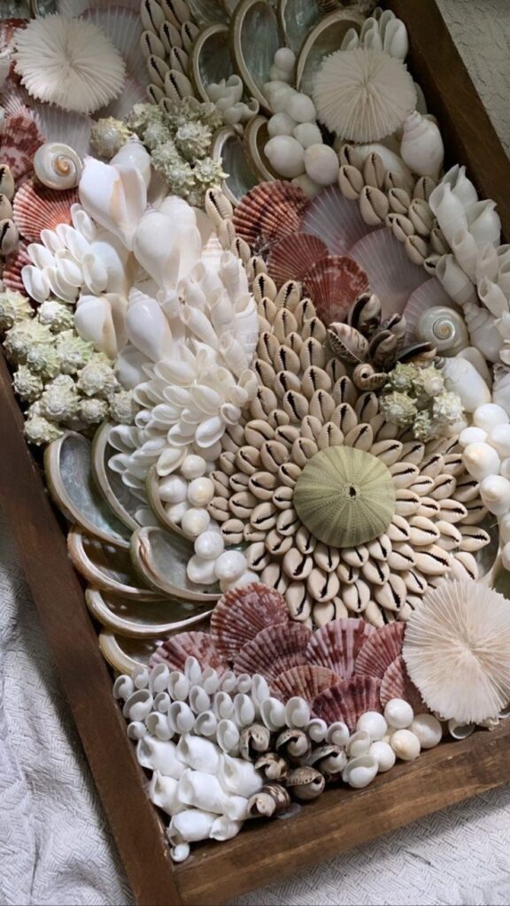 Intricate arrangement of various seashells and coral pieces in a wooden tray, showcasing natural ocean treasures.