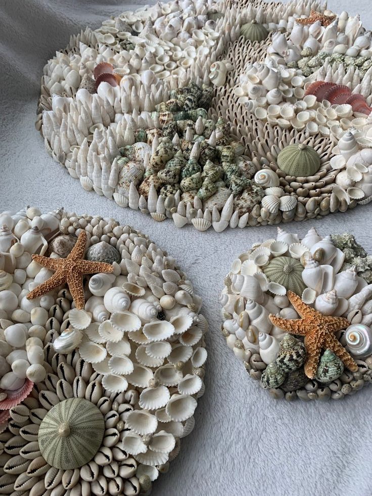 Beautifully arranged seashell and starfish art pieces on a soft surface, creating intricate, natural patterns and textures.