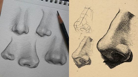 Detailed sketches of human noses: left shows pencil drawings on paper, right features cross-hatch technique and geometric outlines.