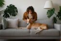 Pet-Friendly Home Décor: Safe and Stylish Choices