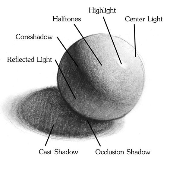 Diagram of sphere with labels for Highlight, Center Light, Halftones, Core Shadow, Reflected Light, Cast Shadow, Occlusion Shadow.