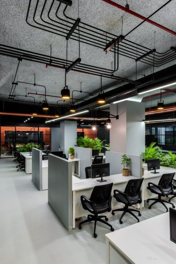 Modern open-plan office space with ergonomic chairs, green plants, and stylish industrial ceiling design.