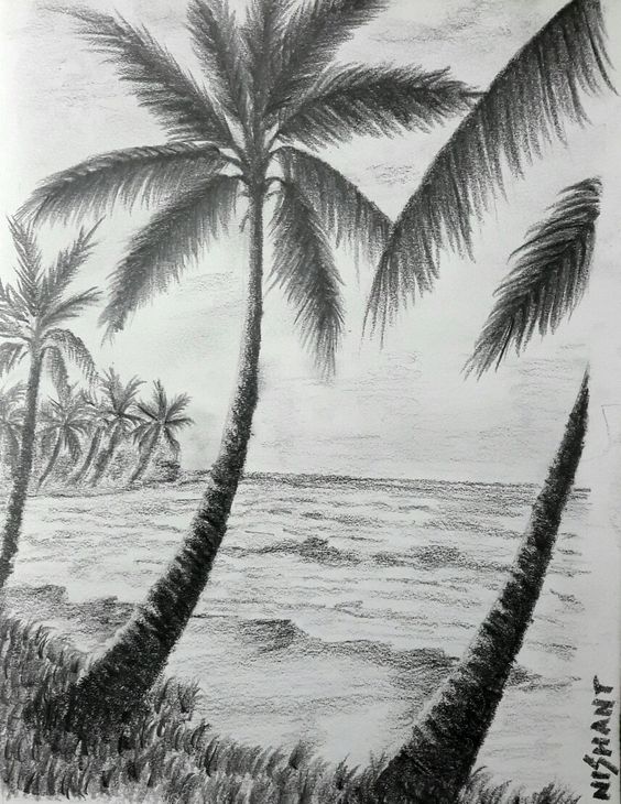 Charcoal drawing of a serene tropical beach with palm trees and gentle ocean waves under a cloudy sky.