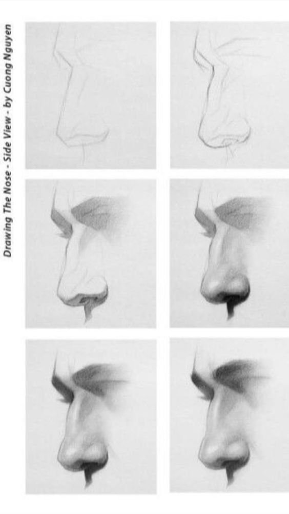 Step-by-step guide to drawing a nose from the side view, showcasing the incremental stages of shading and detailing.