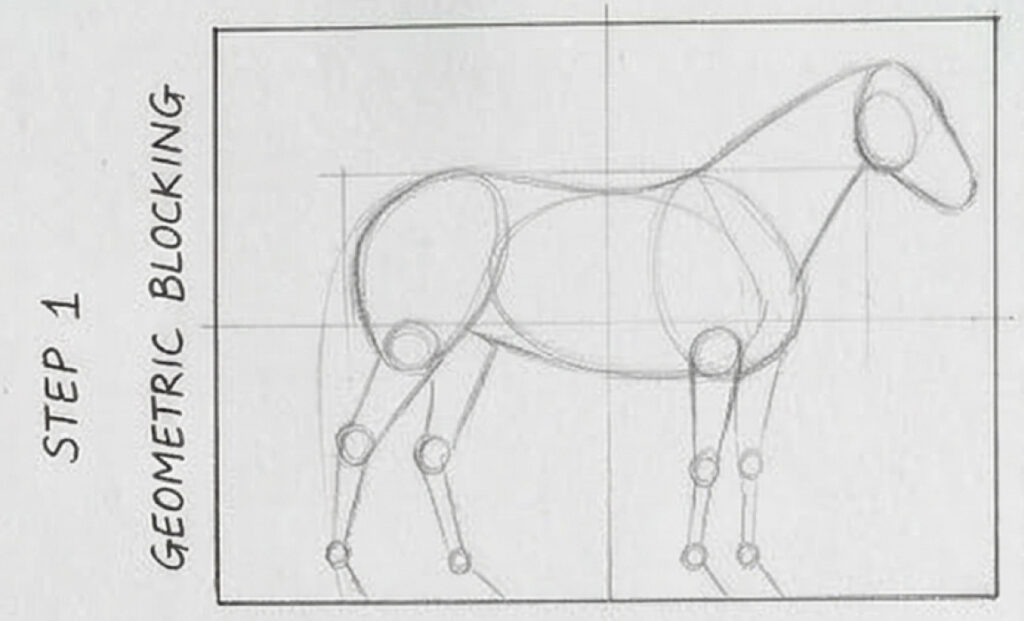 Step 1 geometric blocking: pencil sketch of a horse using basic shapes, joints and grid for construction.