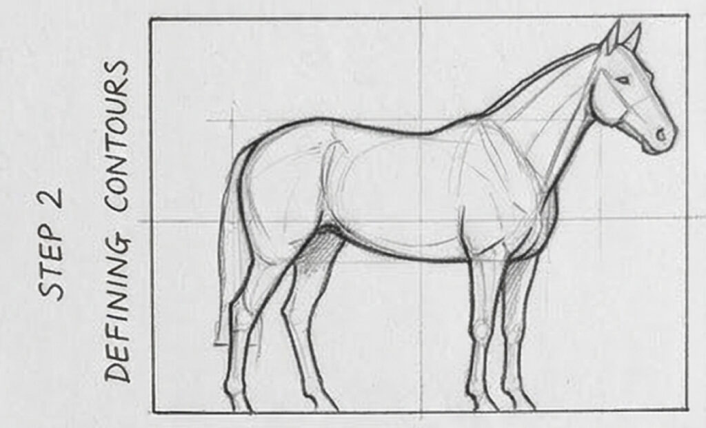 Pencil tutorial sketch: horse side profile with construction grid labeled Step 2 Defining Contours