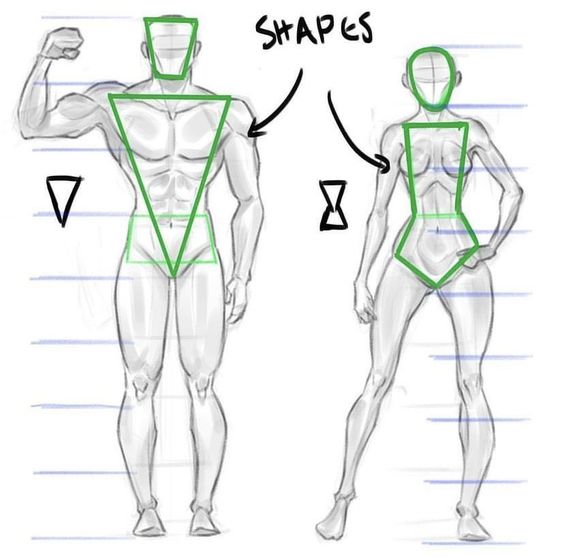 Sketches of male and female body shapes, highlighting triangle, rectangle, and hourglass forms for figure drawing.