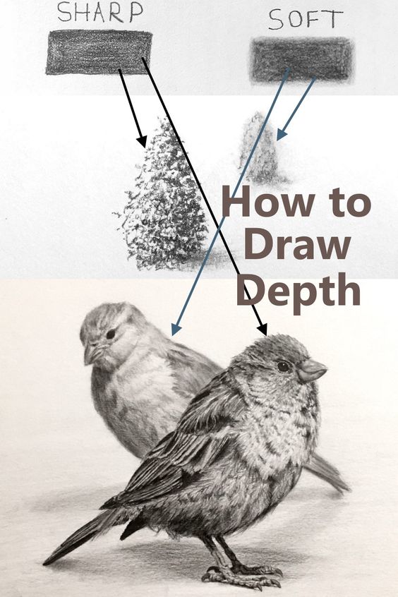 How to draw depth guide with sharp and soft shading techniques on trees and birds.