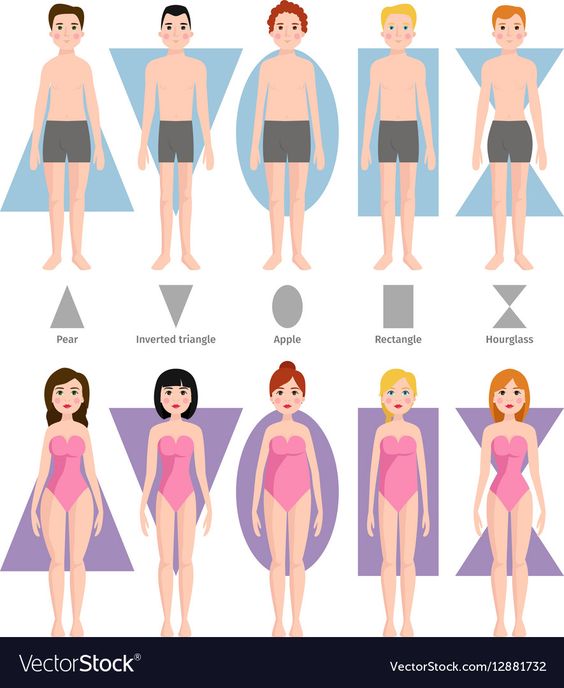 Illustration of male and female body shapes: pear, inverted triangle, apple, rectangle, and hourglass for both genders.