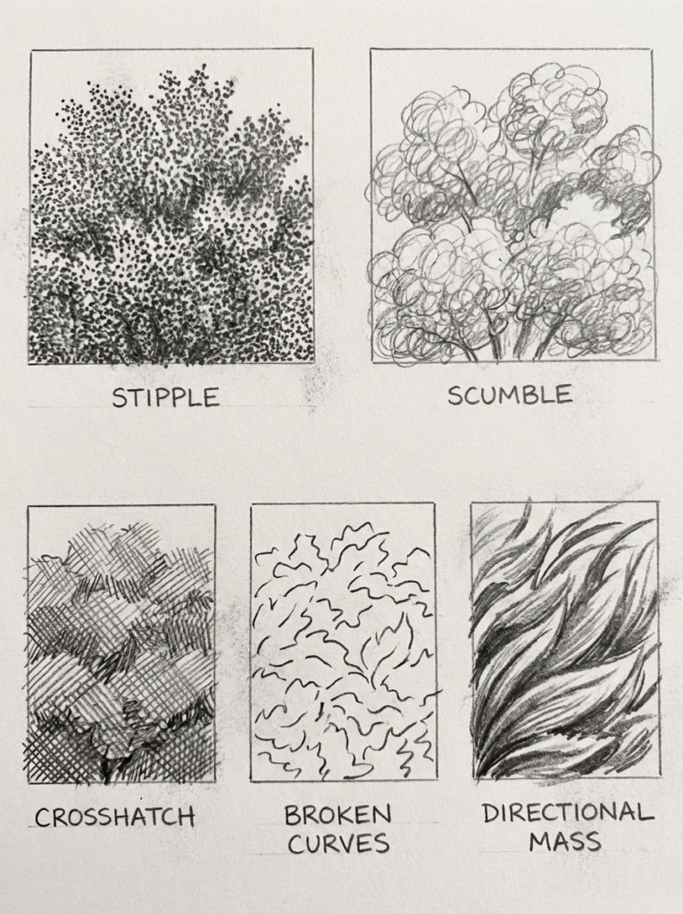 Pencil study showing six labeled shading techniques: stipple scumble crosshatch broken curves directional mass