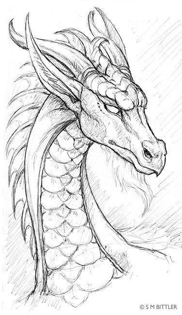 Hand-drawn dragon sketch with intricate scales, sharp horns, and a majestic, serpentine neck. Artist: S M Bittler.