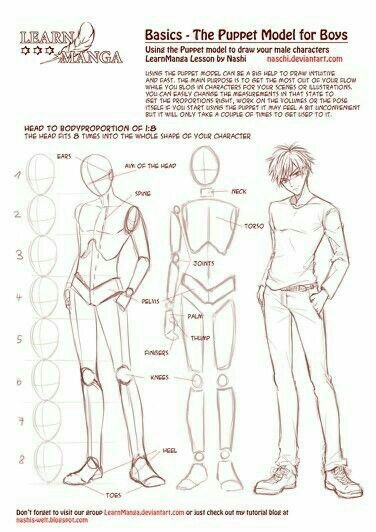 Basics of drawing male manga characters using the puppet model, including head-to-body proportions and guidelines for joints and limbs.