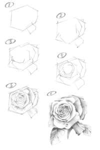 10+ Rose Drawing Ideas: Unleash Your Creativity | Sky Rye