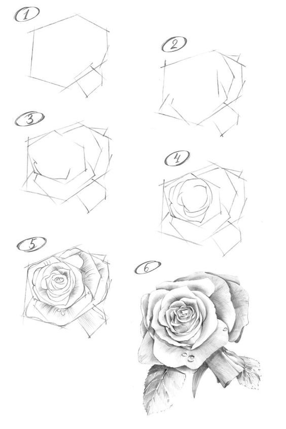 Step-by-step pencil rose drawing tutorial, showing six stages from basic shape outlines to detailed and shaded final rose.