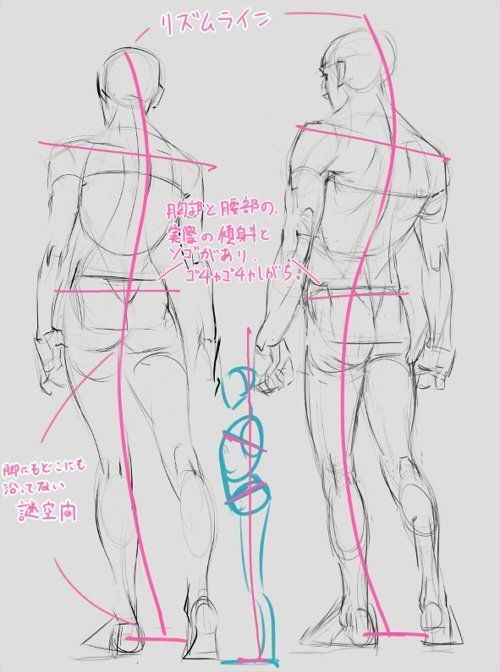 Two anatomical sketches of standing male figures with pink guidelines and Japanese annotations, focusing on human proportions.