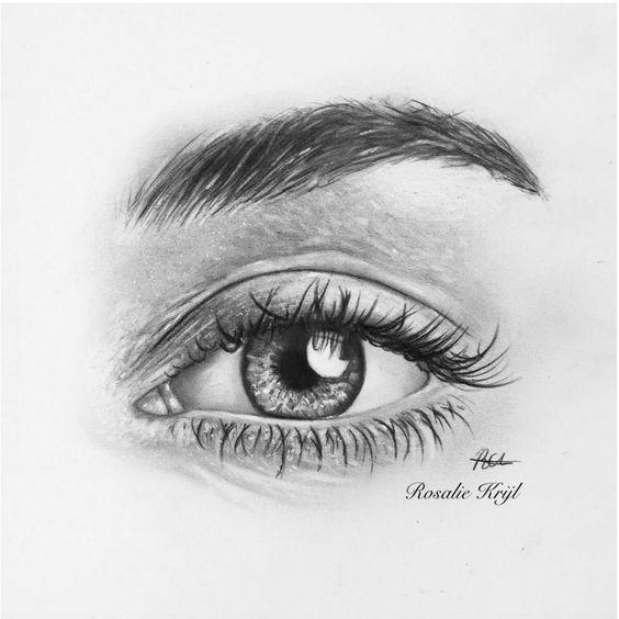 Detailed pencil drawing of a realistic human eye and eyebrow, showcasing intricate shading and texture.