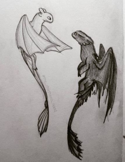 Pencil sketch of a white and black dragon flying, resembling Night Fury and Light Fury characters from How to Train Your Dragon.