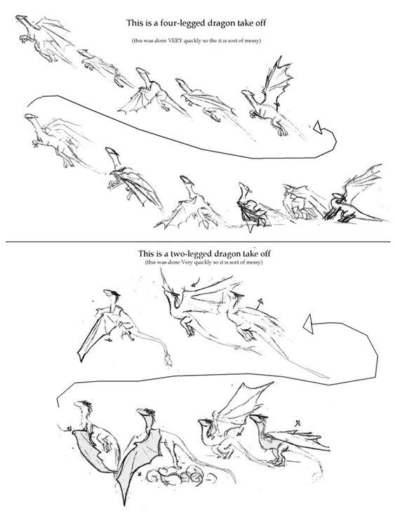 Illustrated guide comparing four-legged and two-legged dragon take-offs, showcasing different stages in each sequence.