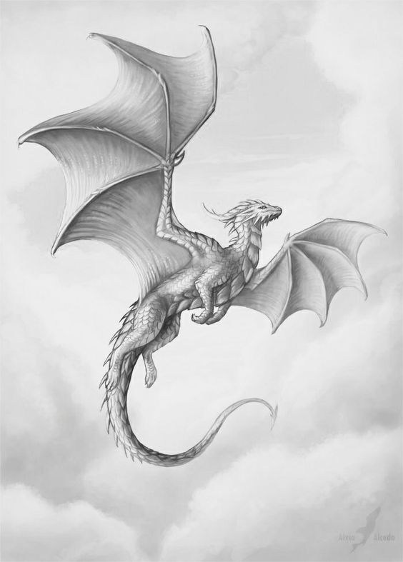 Sketch of a majestic dragon soaring through the cloudy sky, showcasing detailed wings and scales. Fantasy illustration.