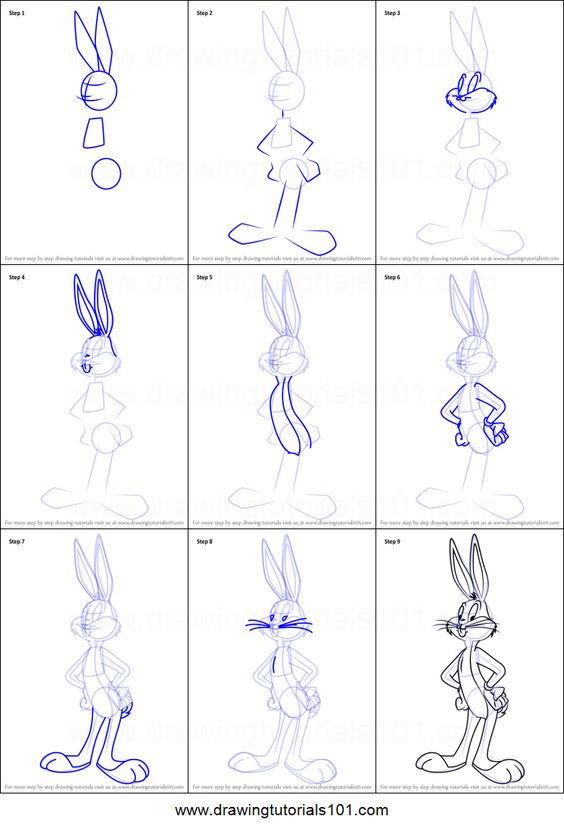 Step-by-step tutorial on how to draw Bugs Bunny from basic shapes to final detailed illustration in 9 stages.