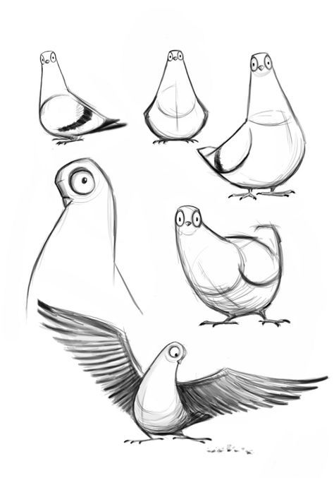 Sketches of six pigeons in various poses and expressions, showcasing detailed pencil drawings of cartoon-style birds.