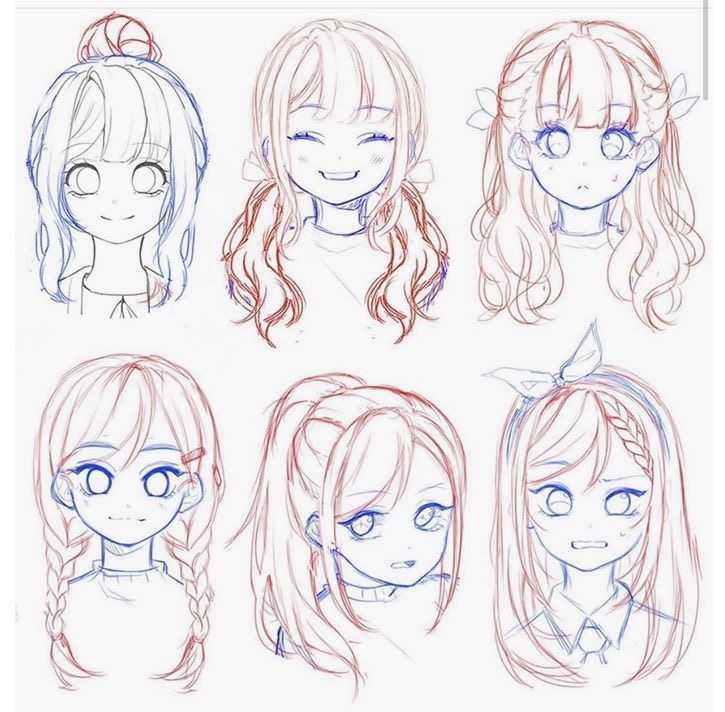 Collection of six anime girl sketches with different hairstyles, including buns, twin tails, braids, and ponytails.