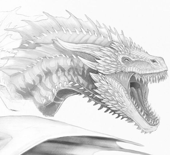 Detailed pencil sketch of a roaring dragon with sharp scales and an open mouth, displaying fierce expression.