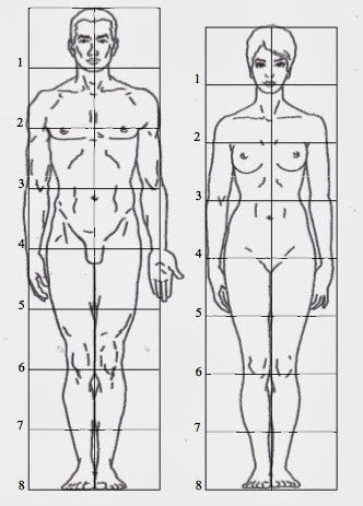 Proportional diagrams of male and female human figures showing numerical grid references for anatomical study and art.