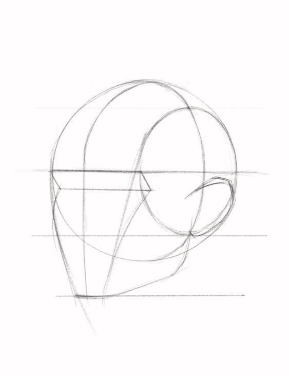 Sketch outline of a human head showing basic proportions and construction lines, useful for drawing tutorials.