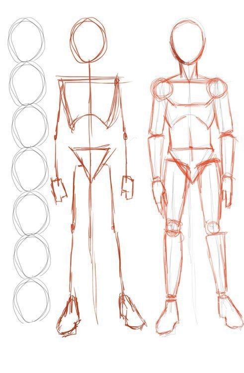 Figure drawing guide featuring human proportions, basic stick figure, and detailed sketch for artists' anatomy practice.